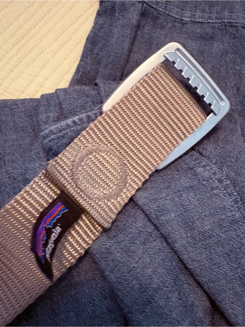 Patagonia Tech Web Belt